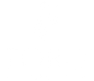 Logo TORO Pflegegruppe by reichelt